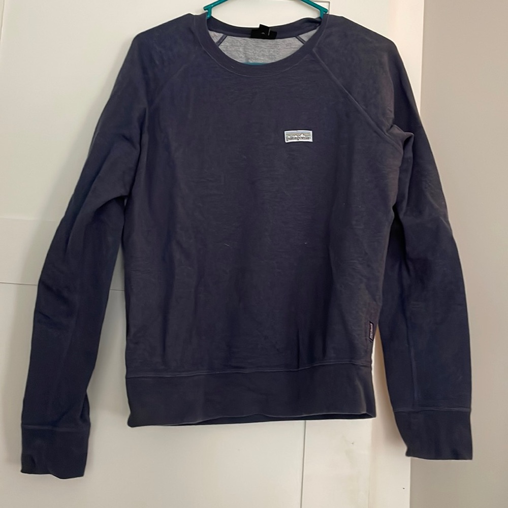 Patagonia thin sweatshirt